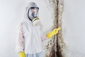  Freeburg, IL Mold Removal & Remediation Pros